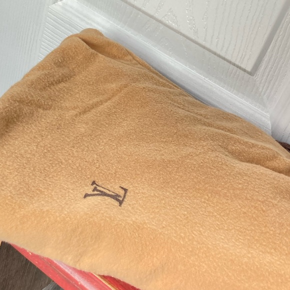 LV Speedy 30 handbag. Gently used… includes dust bag - Picture 10 of 10